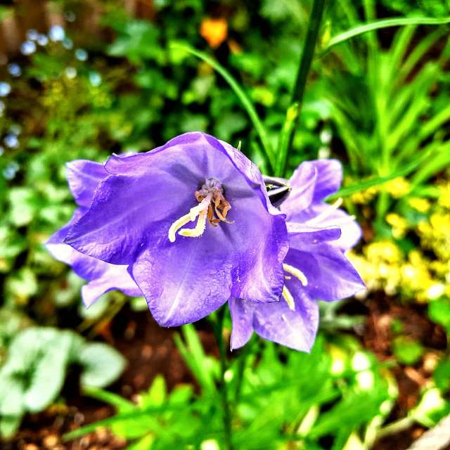 Close. Weather forecasts with beautiful photos by Wiesiek Photos in Gdansk