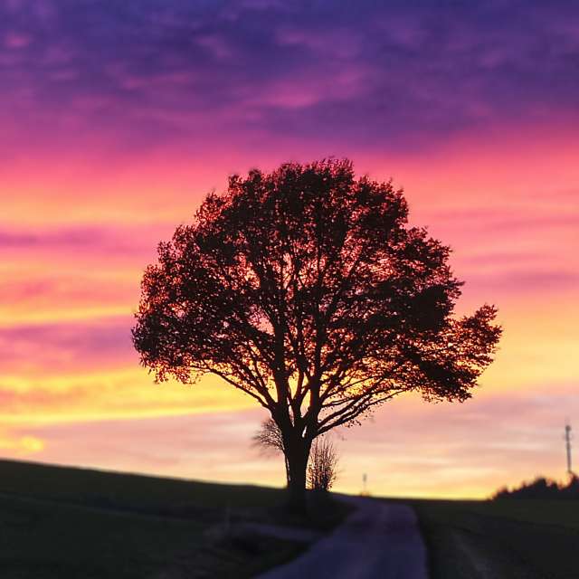 Lotti5507の美しい写真による天気予報