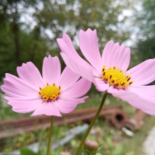 Weather Photos in World. Weather forecasts with beautiful photos by mikhai