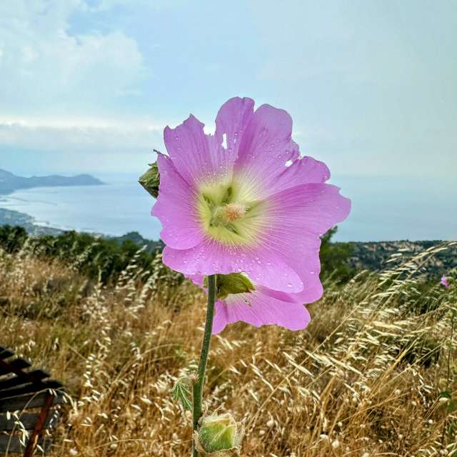 Weather forecasts with beautiful photos by Soulbro