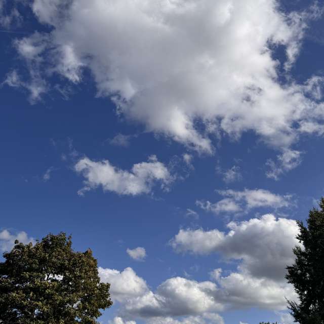 Weather forecasts with beautiful photos by Svet-Lana
