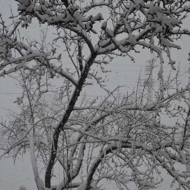 Dự báo thời tiết với những bức ảnh đẹp của Derebey