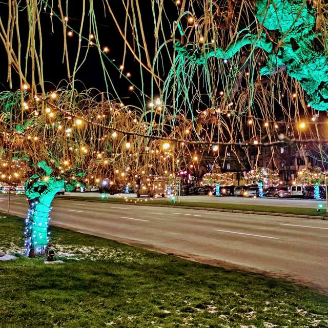 Prévisions météo avec de superbes photos de Mircea