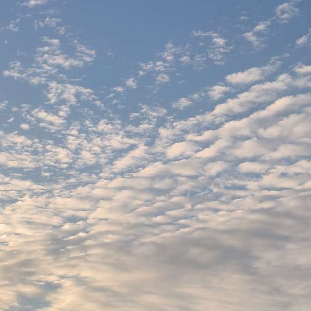 Fotos del Vuelo. Pronósticos del tiempo con hermosas fotos de YanBog en Bucharest