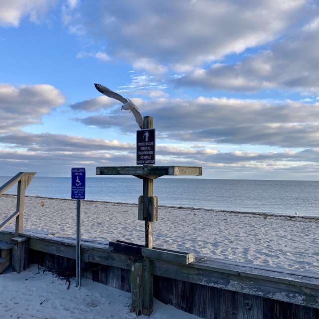Fotos del Nublado. Pronósticos del tiempo con hermosas fotos de prairiesands en Cape Cod