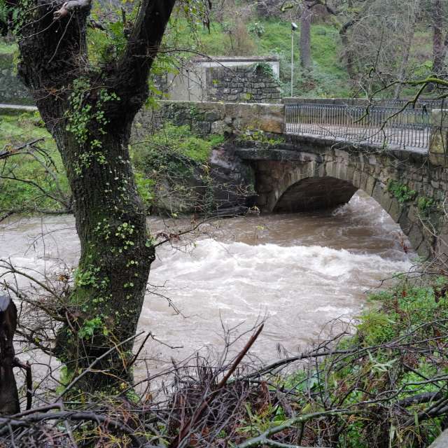Zoo. Weather forecasts with beautiful photos by Leonem Photos in World