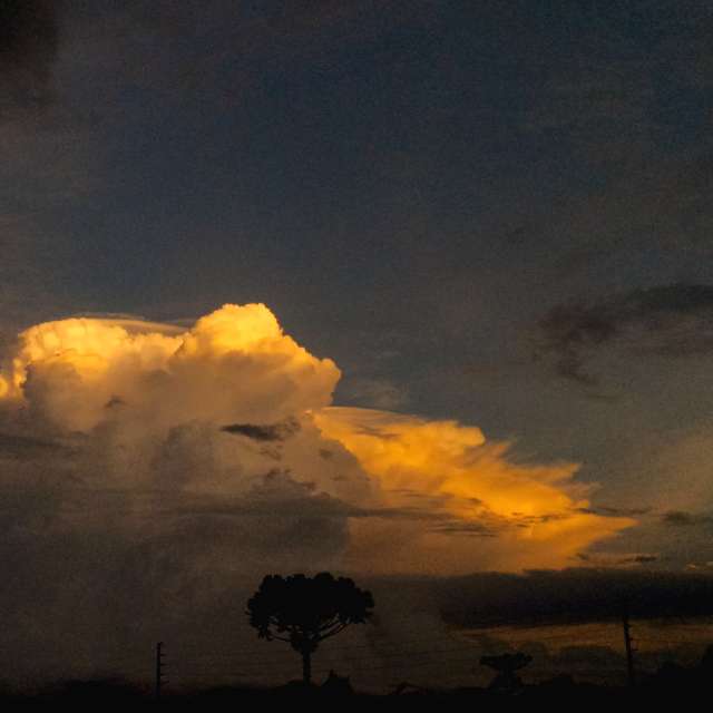 Weather forecasts with beautiful photos by Marra2021