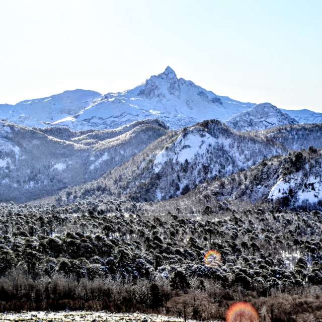 Sheep. Weather forecasts with beautiful photos by Rodrigo Sandoval Photos in World