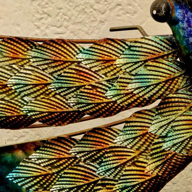 Previsões do tempo com lindas fotos de jJaycox