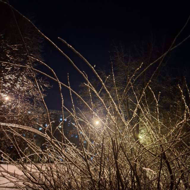 Weather forecasts with beautiful photos by Iryna