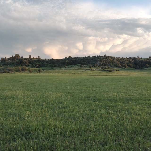 Gras. Wettervorhersagen mit schönen Fotos von BonnieC85 Fotos Pine View Airport