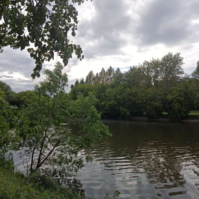 Herd. Weather forecasts with beautiful photos by Amanda_and_Valdemar_Che Photos in Izmaylovo District