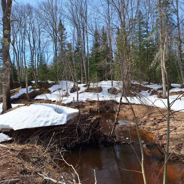 Weather forecasts with beautiful photos by NorthernMichiganBeauty