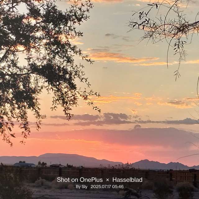 MsSlyの美しい写真による天気予報