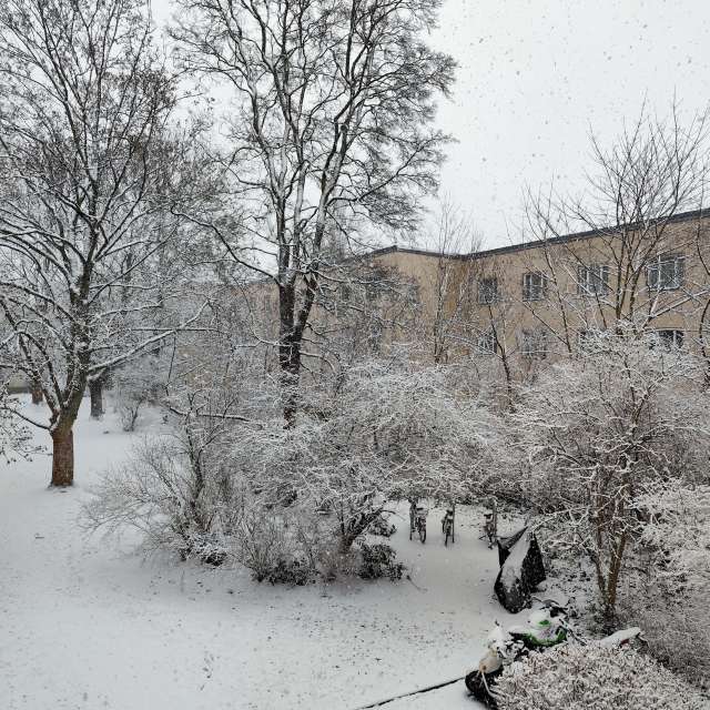 Previsões do tempo com lindas fotos de Oleg1961
