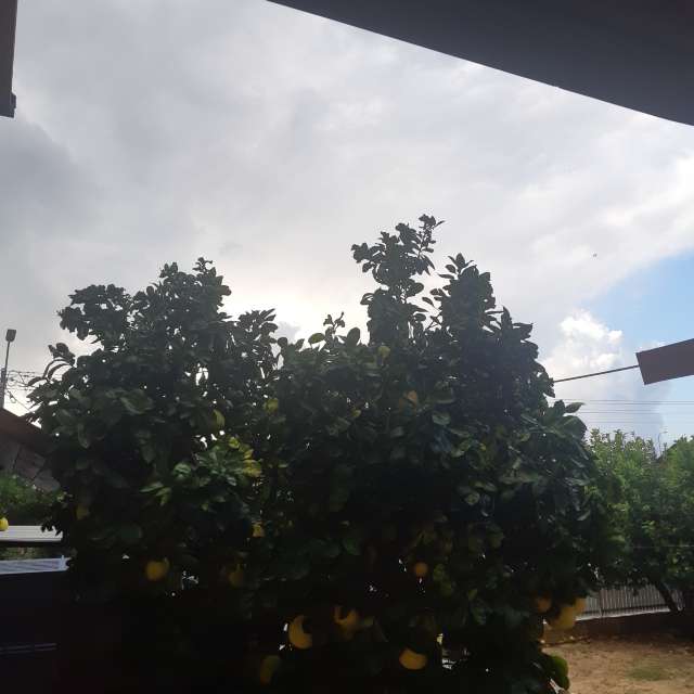 Prévisions météo avec de superbes photos de Florabresler