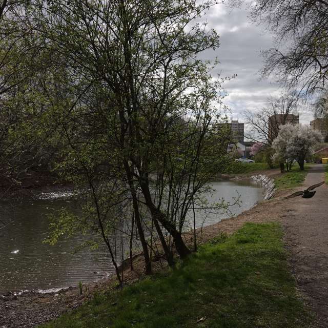 Fotos Caminho. Previsões do tempo com lindas fotos de Vasek325 em Praha 4