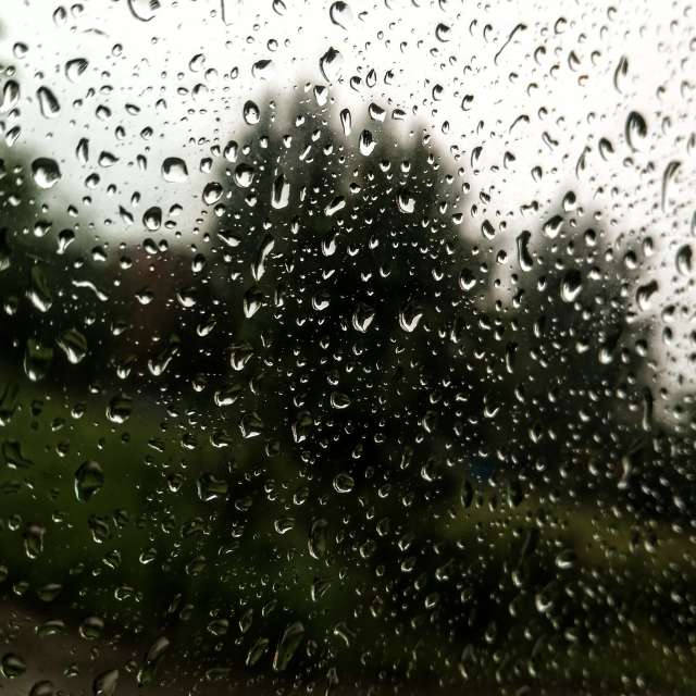 Pronósticos del tiempo con hermosas fotos de fruta