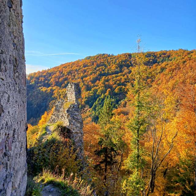 Weather forecasts with beautiful photos by _richardd