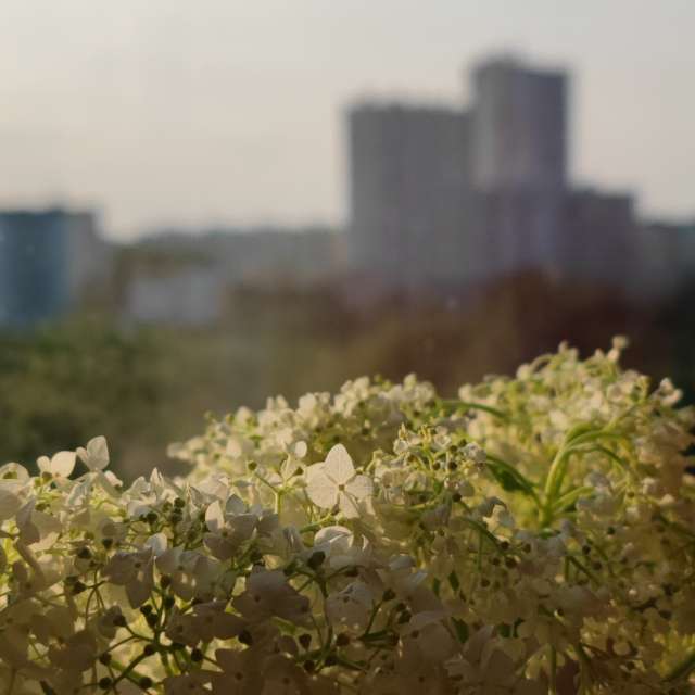 Alexxabrの美しい写真による天気予報