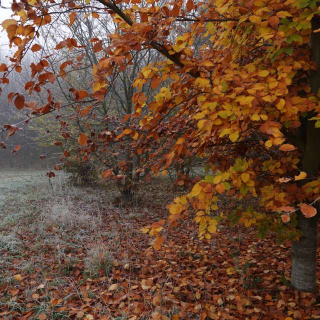Fotos do tempo em Mundo. Previsões do tempo com lindas fotos de Vasek325