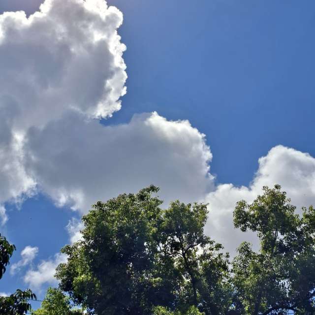 Pronósticos del tiempo con hermosas fotos de Wen-ya Huang