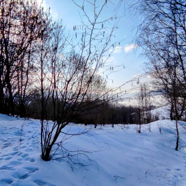 Seite. Wettervorhersagen mit schönen Fotos von Kripo Fotos Ladek Zdroj