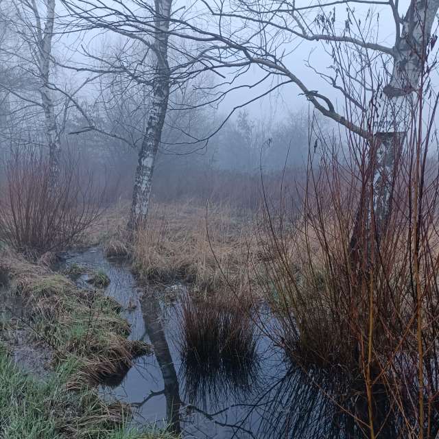 Fotos del Colina. Pronósticos del tiempo con hermosas fotos de PaulusSclaveni en Cracovia