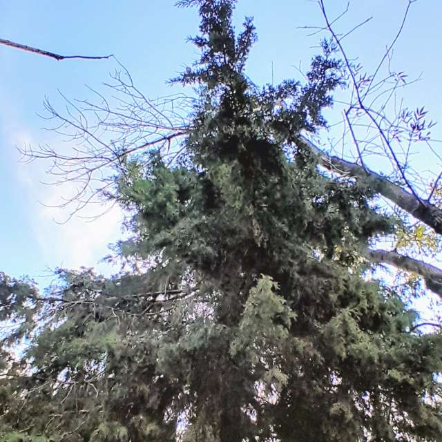 Grass. Weather forecasts with beautiful photos by SEBASTIAN14 Photos in Olivos