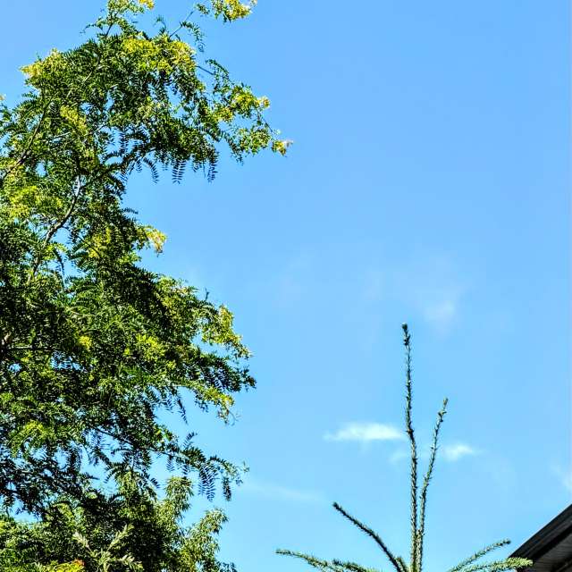 Wettervorhersagen mit schönen Fotos von Lulu5523