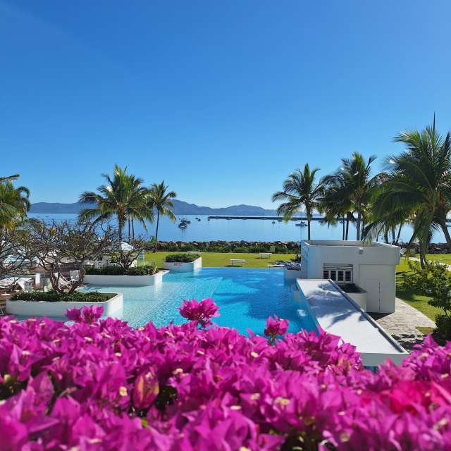 Weather forecasts with beautiful photos by bats