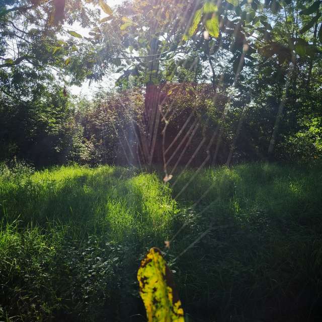 Weather forecasts with beautiful photos by urashm