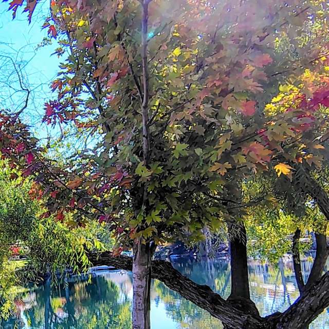 世界的天气照片. 天气预报，带Ghostroku精美的照片