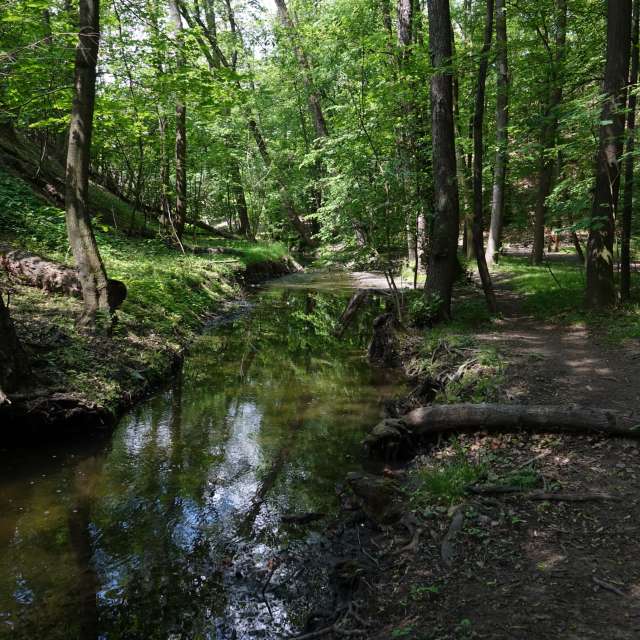 Fotos Clima. Previsões do tempo com lindas fotos de Vasek325 em Praha 4