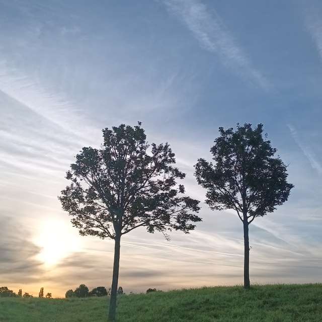 Rauch. Wettervorhersagen mit schönen Fotos von Kripo Fotos Niederösterreich