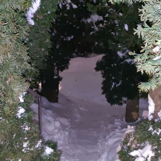 Pronósticos del tiempo con hermosas fotos de Maryous