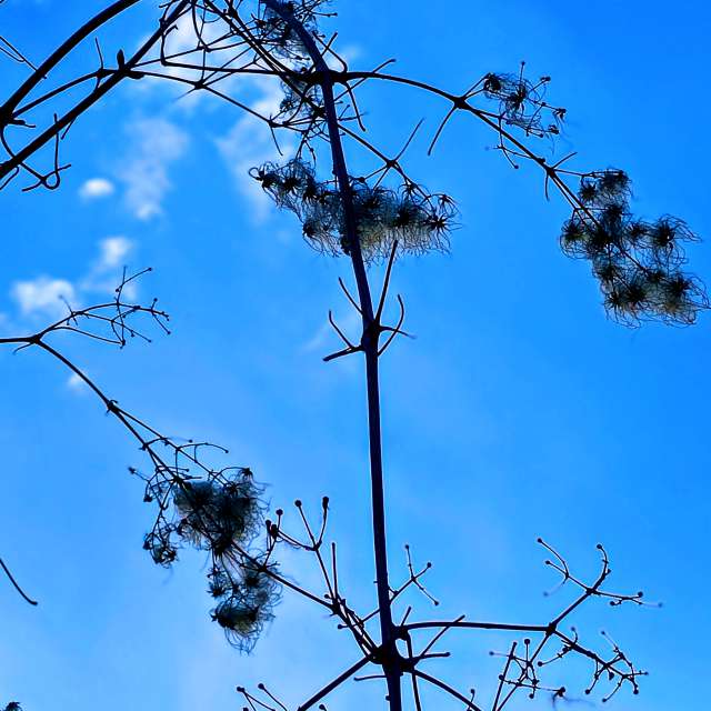 Fotos Torre. Previsões do tempo com lindas fotos de Seni em Velbert