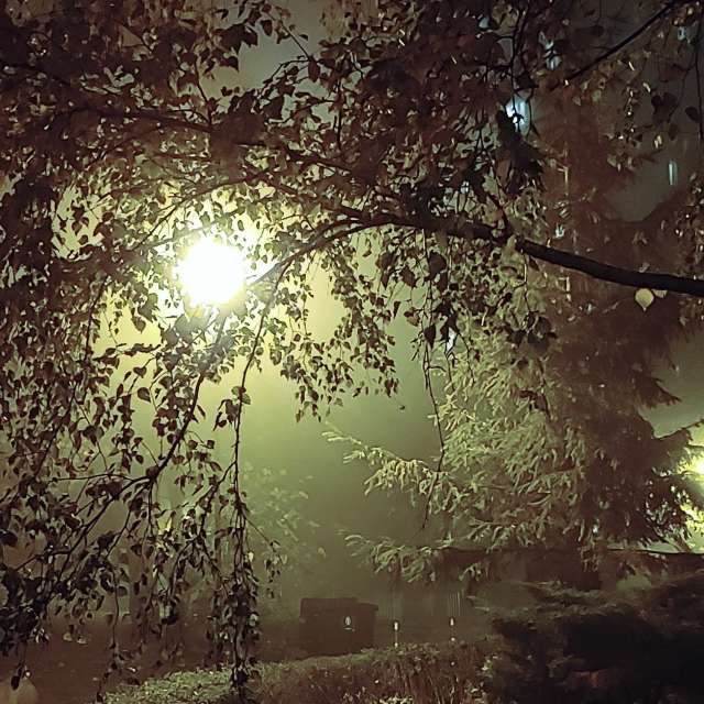 Previsões do tempo com lindas fotos de tipgol