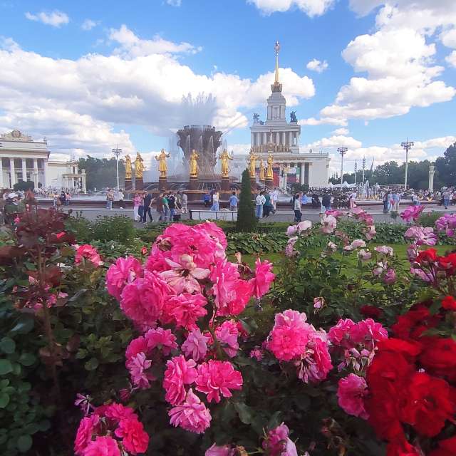 Weather forecasts with beautiful photos by nika_toria