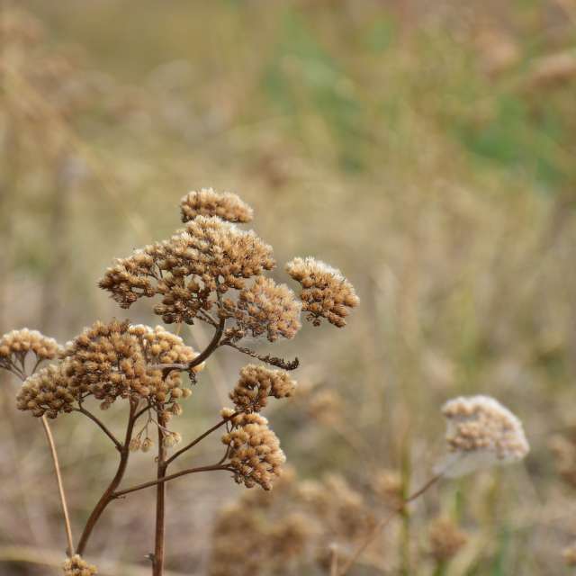 Weather forecasts with beautiful photos by 1stEyeFocused