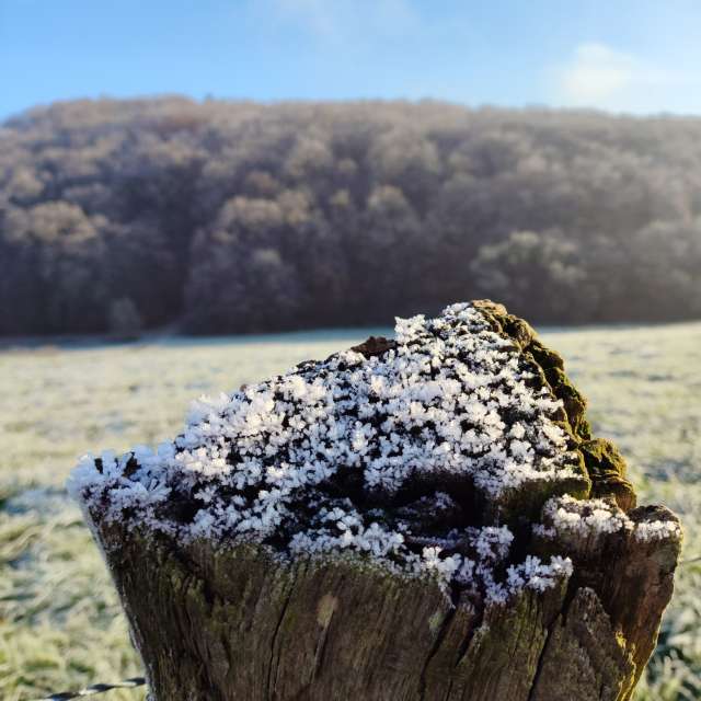 天气预报，带Brtd精美的照片