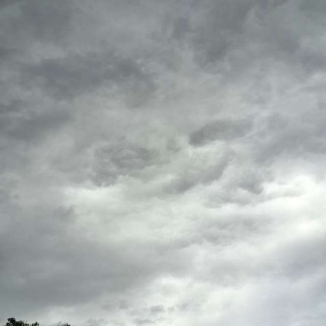 Photos Cerf-volant. Prévisions météo avec de superbes photos de Wen-ya Huang de Kaohsiung