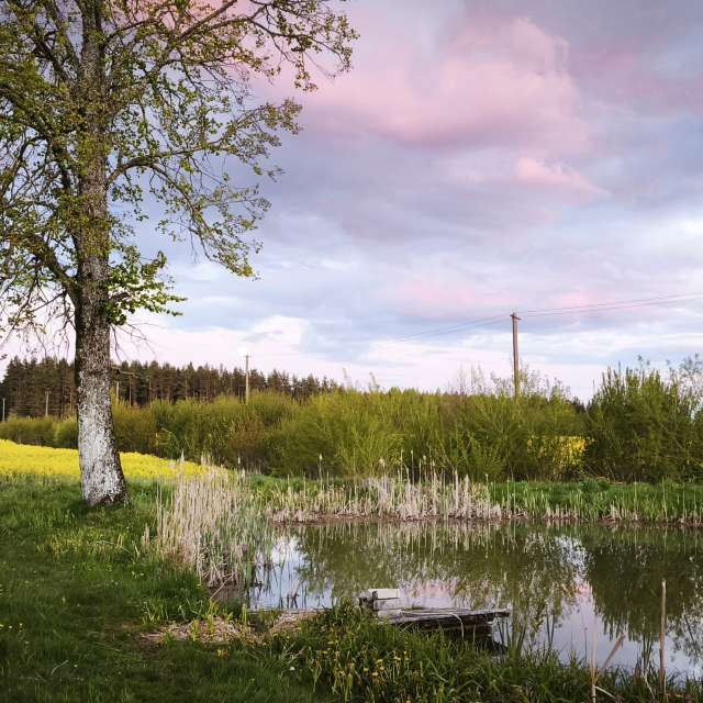 Pond. Weather forecasts with beautiful photos by Valiukas Photos in Lithuania