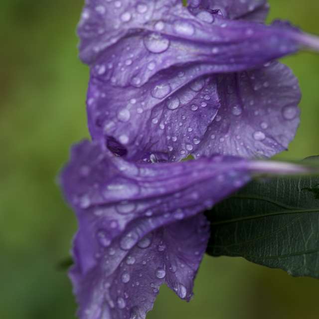 Wettervorhersagen mit schönen Fotos von krantzjh