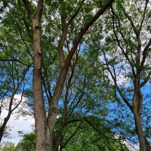 Greetの美しい写真による天気予報