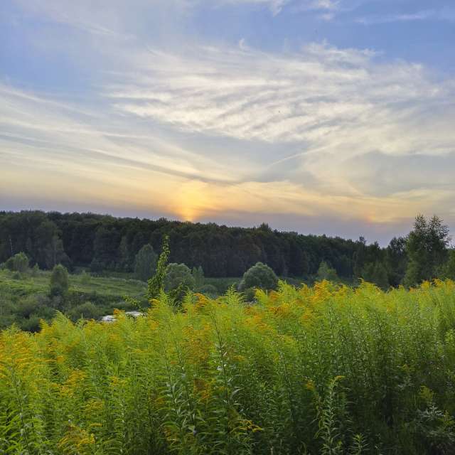 Cloudy. Weather forecasts with beautiful photos by Aleksei Photos in Tula