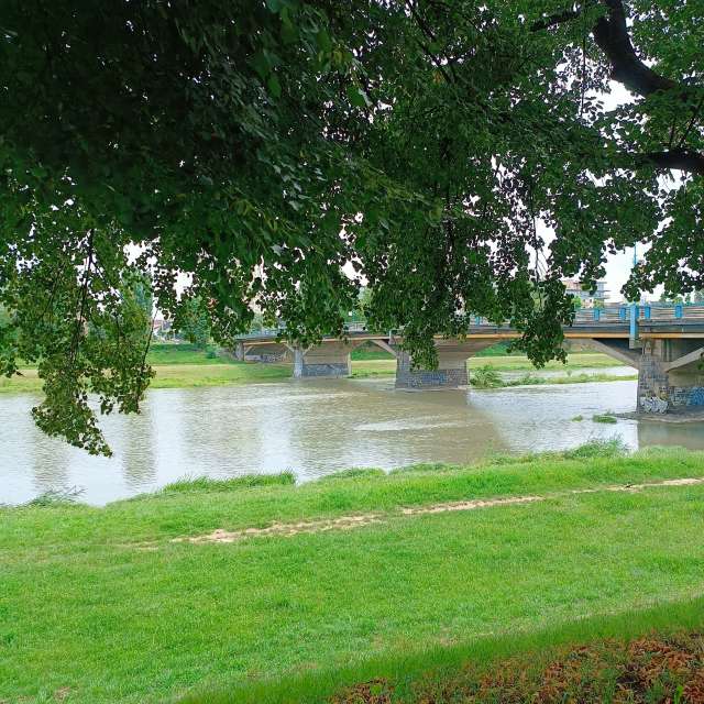 Fotos Campo. Previsões do tempo com lindas fotos de Алина Бирюкова em Uzhgorod
