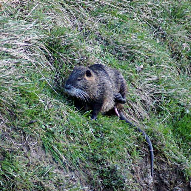 Animal. Weather forecasts with beautiful photos by tony5636 Photos in Calvisson