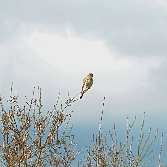 Field. Weather forecasts with beautiful photos by tony5636 Photos in Calvisson