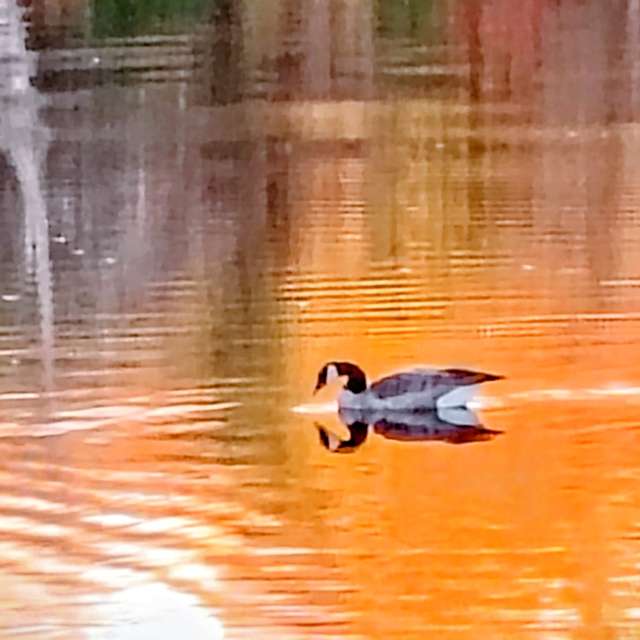 天气预报，带Ghostroku精美的照片